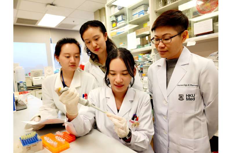 Professor Ruby Hoo Lai-chong (first, right), Department of Pharmacology and Pharmacy of HKUMed, and her research team have successfully developed a neutralising monoclonal antibody, 6H2, which targets a harmful protein A-FABP known to exacerbate damage caused by ischaemic stroke. The findings will offer potential for a highly effective pharmacological therapy for patients with ischemia stroke. Credit: The University of Hong Kong