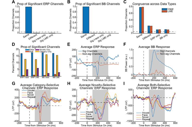 Researchers introduce enhanced brain signal analysis technique