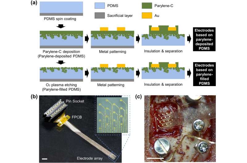 Research team develops soft and highly durable brain electrodes that could be used in treatment