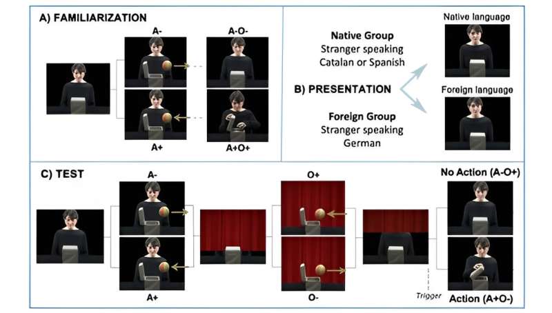 The language spoken by others conditions our ability to predict their actions from an very early age, according to a study by UPF