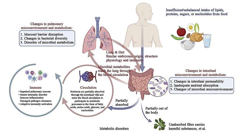 Study uses metabolomics to identify novel diagnostic markers for chronic obstructive pulmonary disease