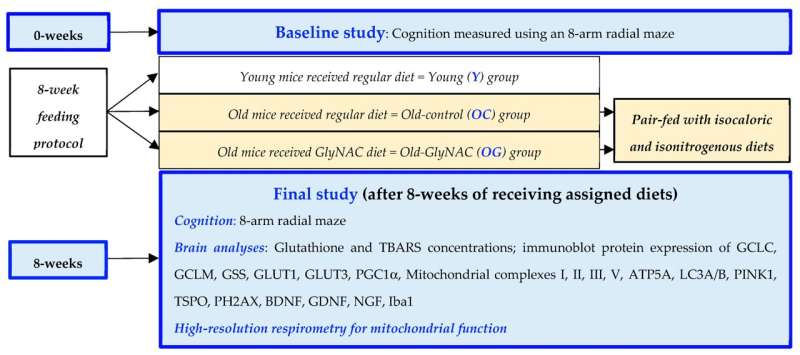 GlyNAC supplementation improves cognitive decline and brain health in aging