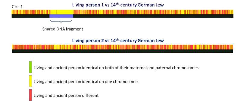 What type of a relationship with an ancient person does a shared DNA fragment imply?