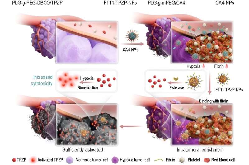 Enhancing hypoxia-activated prodrug anticancer therapy