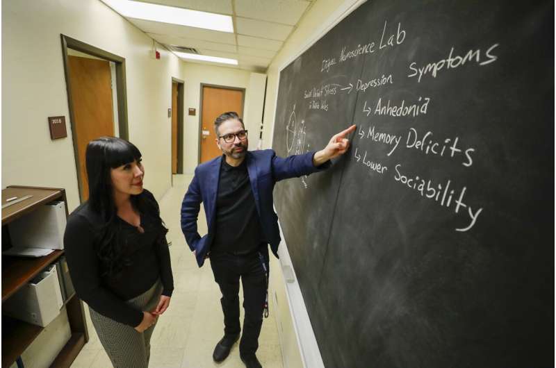 UTEP study: prairie voles display signs of human-like depression