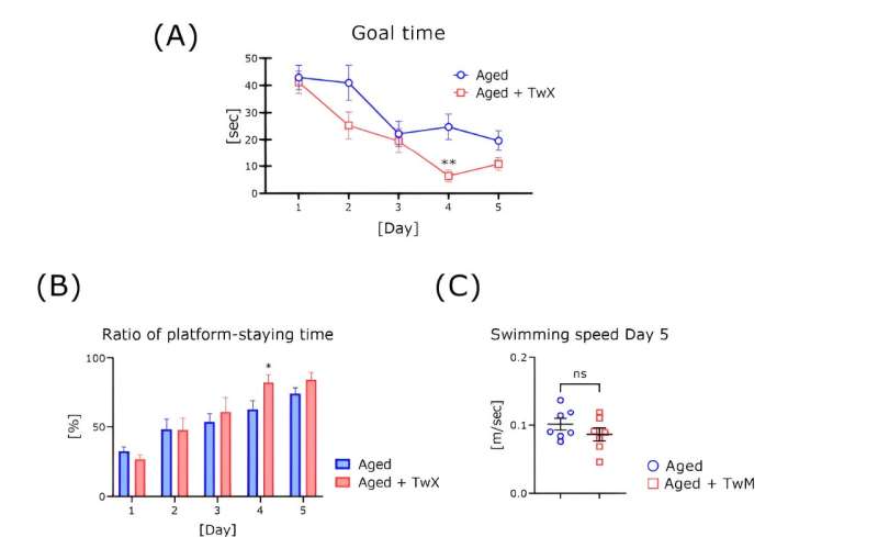 Blended antioxidant supplement improves cognition and memory in aged mice