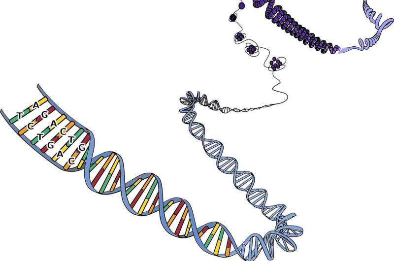 Biological mechanism discovered that could lead to new treatments for neurological disorders and cancers