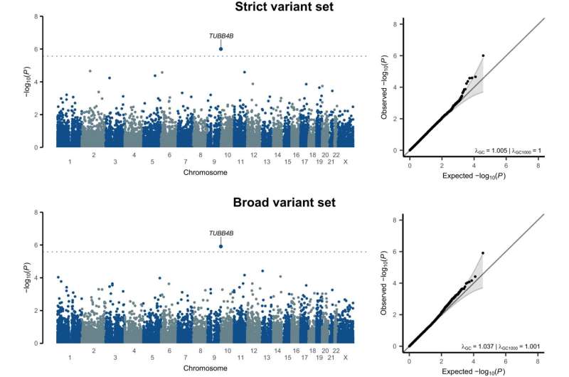 Researchers find genetic variant coding for tubulin protein that may be partially responsible for left-handedness