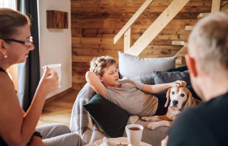 Playtime, being social helps a dog's aging brain, study finds