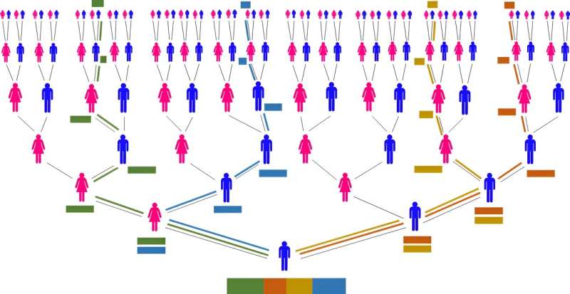 DNA says you're related to a Viking, a medieval German Jew or a 1700s enslaved African? What a genetic match really means