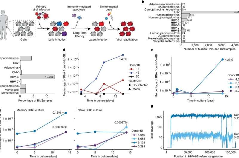 CAR T cell therapies may lead to reactivation of childhood viral infections