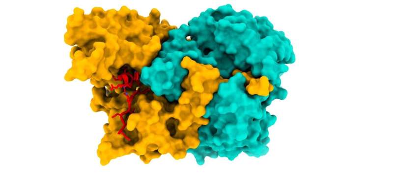 New insights into what happens in cells in early Alzheimer's