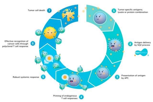 Cell-compressing technique a new path in immunotherapy