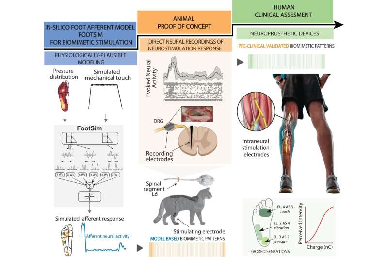 Bio-inspired neuroprosthetics: Sending signals the brain can understand