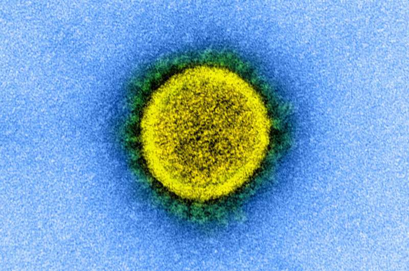 COVID-19, coronavirus