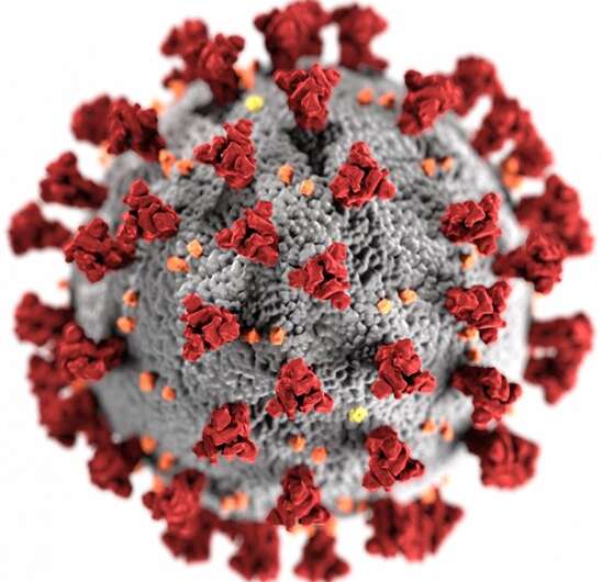 coronavirus , COVID-19