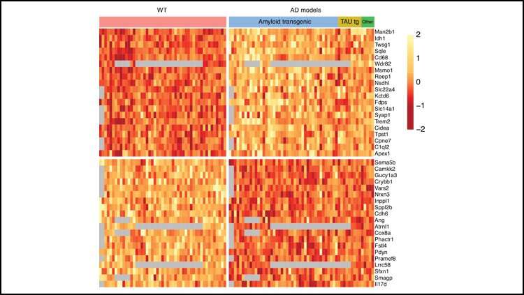 Consistent gene changes in Alzheimer's disease across studies