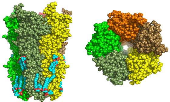 Alzheimer's: Nicotinic receptors as a new therapeutic target 