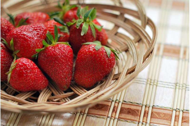 Strawberries may fend off Alzheimer's