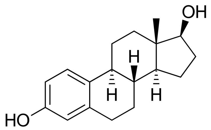 estrogen