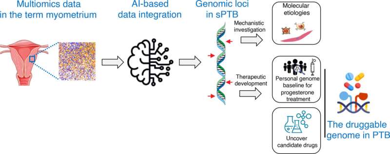 Genetic discovery reveals who can benefit from preterm birth therapy