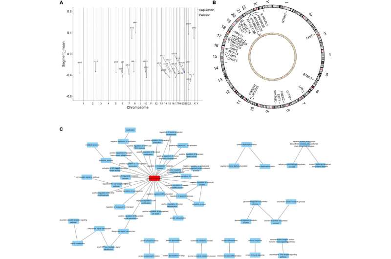 New insights into lipid metabolism associated with pathogenesis of preeclampsia