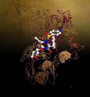 How T Cells recognise infection or disease