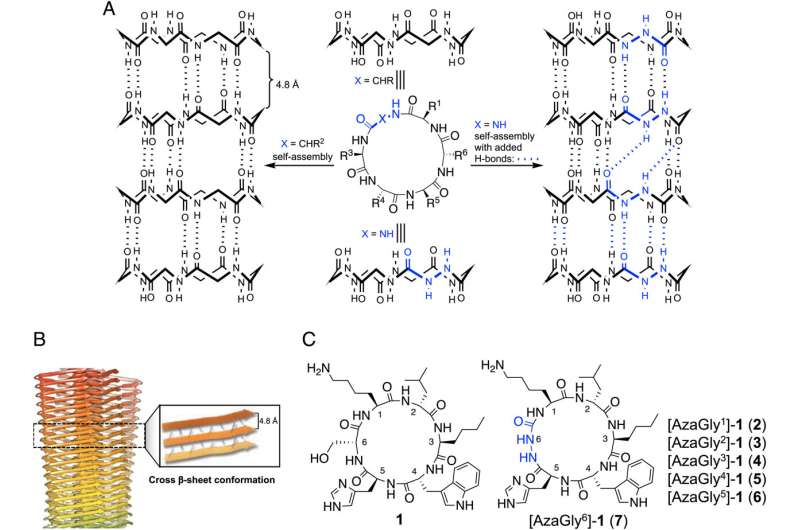 Early diagnosis and treatment of Alzheimer's disease by targeting toxic soluble Aβ oligomers 