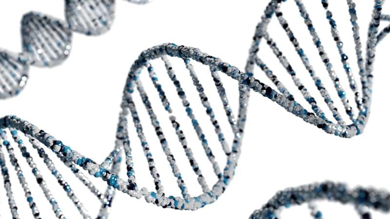 Transdifferentiation with RNA sequencing aids diagnosis of genetic disorders