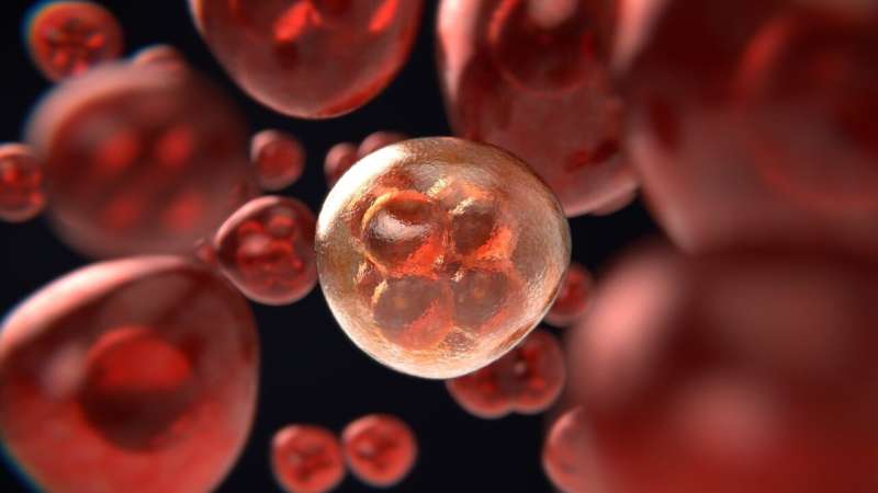 Blood stem cells unlock clues for helping sepsis patients fight recurring infections 