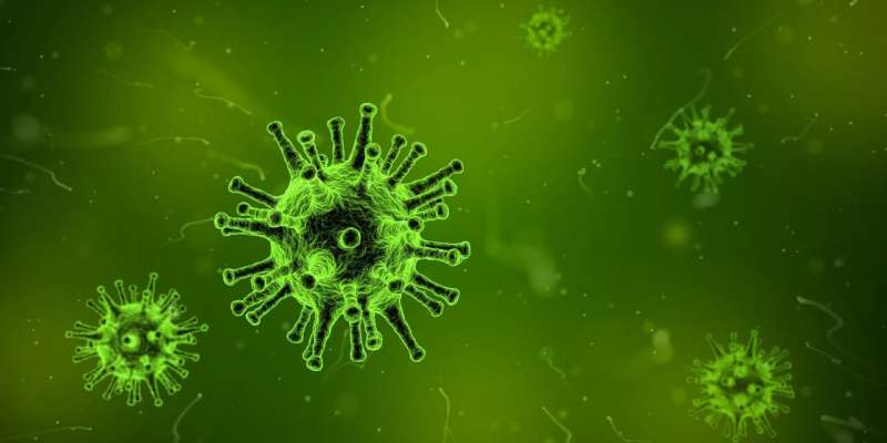 Viral infections could promote neurodegeneration 