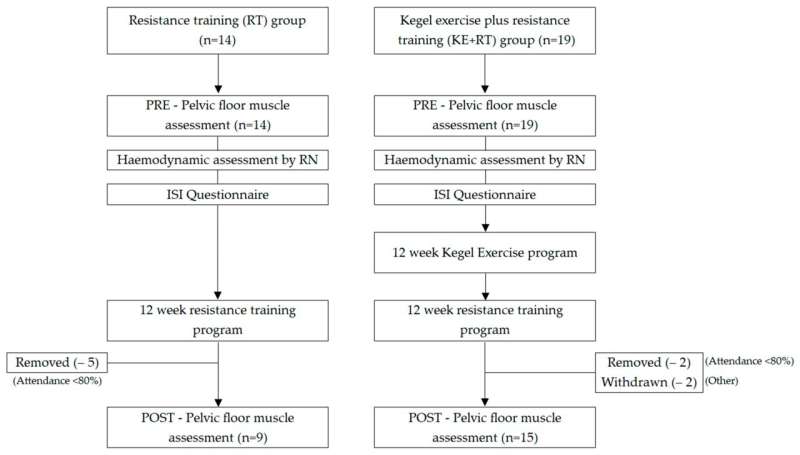 Exercise solution for gym women with continence concerns