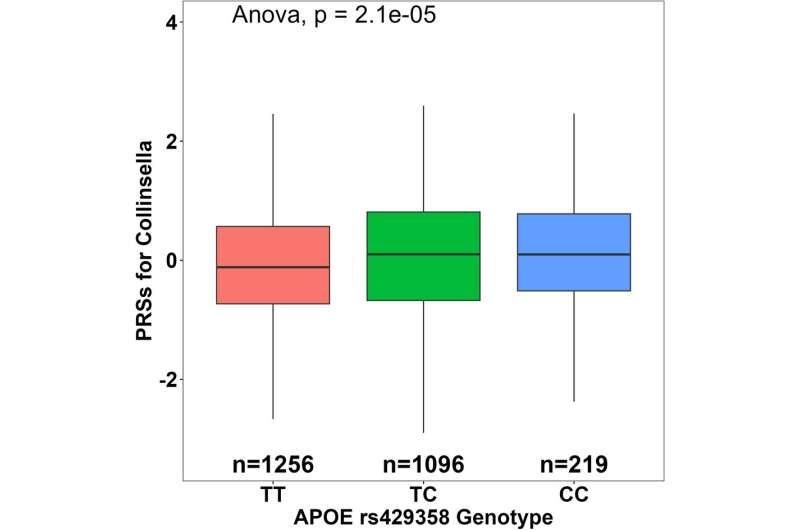 Gut microbiota, Alzheimer's and the central nervous system