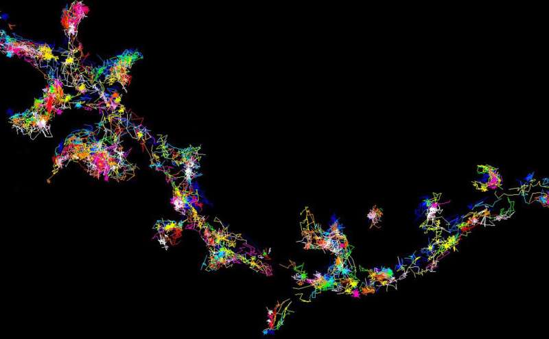 Super-resolution microscopy sheds light on how dementia protein becomes dysfunctional 