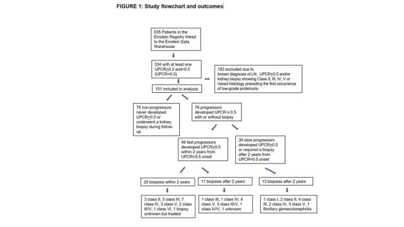 Study finds half of patients with low-grade proteinuria develop treatable lupus nephritis within two years