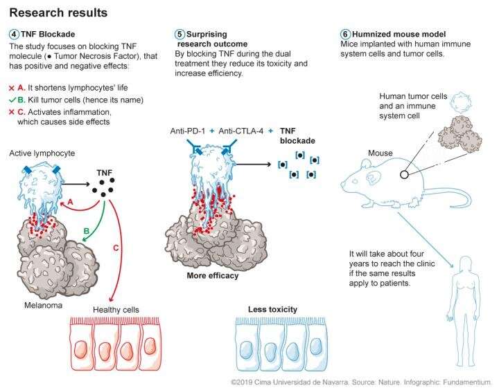 Pretreatment with TNF inhibitors may improve outcomes of combination cancer immunotherapy