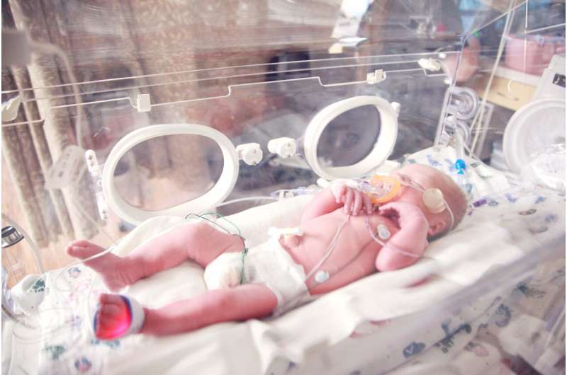 No reduction in death or severe brain injury with cerebral oximetry monitoring in extremely preterm infants, finds study 