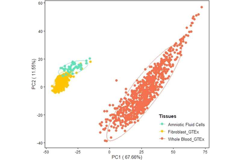 RNA sequencing of amniotic fluid cells for prenatal diagnosis