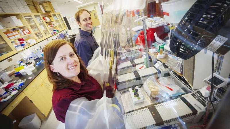 Microbiologists' work adds to research on microbiome fungi and childhood disease 