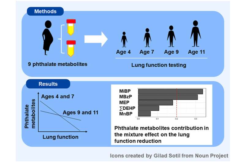 Study links prenatal phthalate exposure to reduced childhood lung function