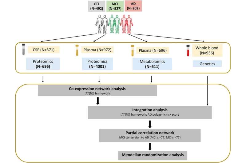 Big data initiative discovers new causal pathways in Alzheimer's