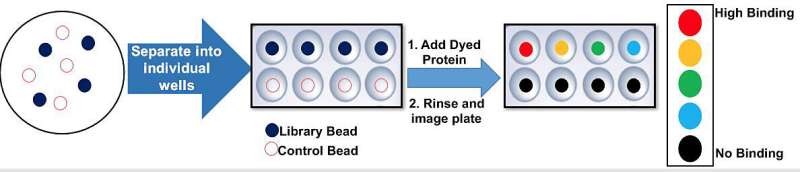 New method to detect cancer cells faster, potentially improving outcomes