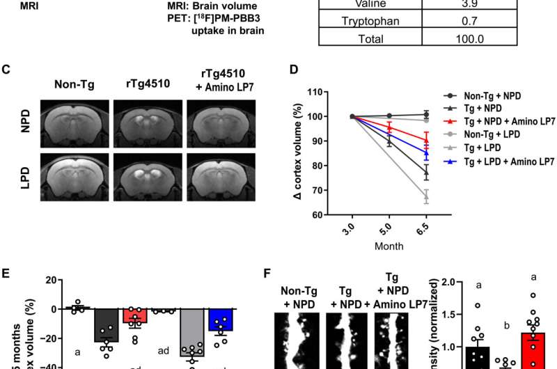 A diet of essential amino acids could keep dementia at bay 