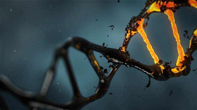 Epigenetic markers associated with Alzheimer's disease found 