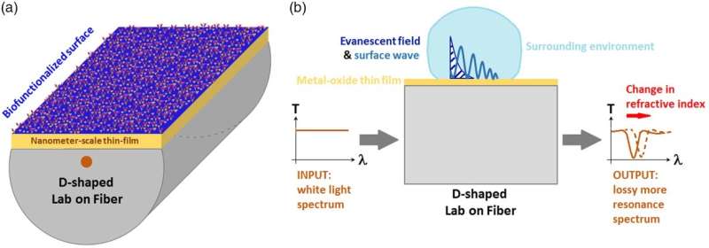 Optical sensors and lab-on-fiber technology may detect Alzheimer's disease at early stages