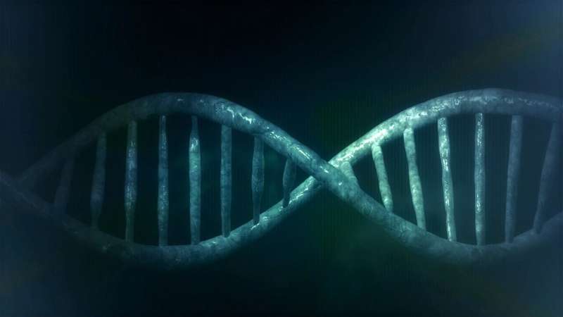 Gene variant may help protect against Alzheimer's disease 