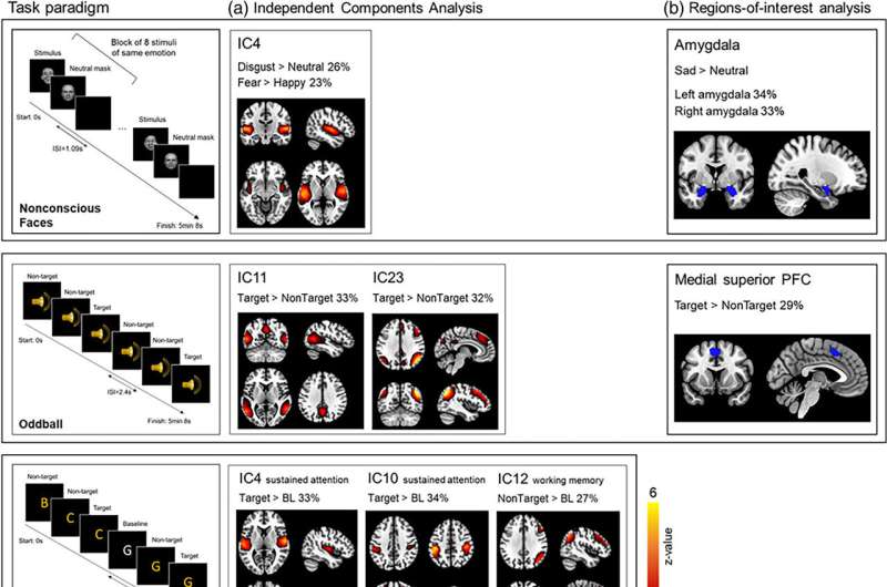 Nature vs nurture: Twin study sheds light on heritable brain activity 