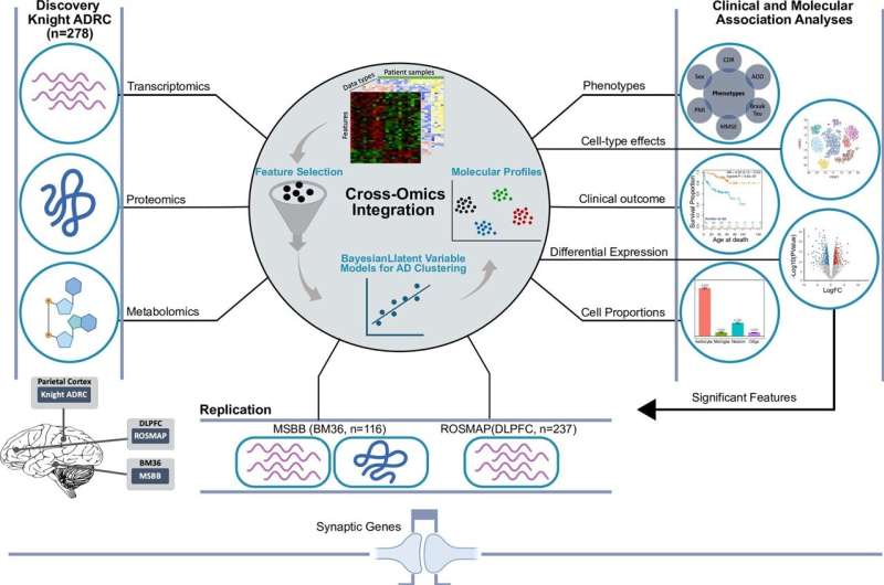 Multi-omics analysis identifies molecularly defined Alzheimer's disease subtypes