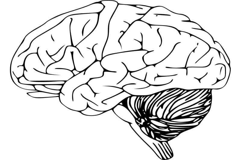 At-home cognitive assessment performs as well as widely used, clinician-led test 