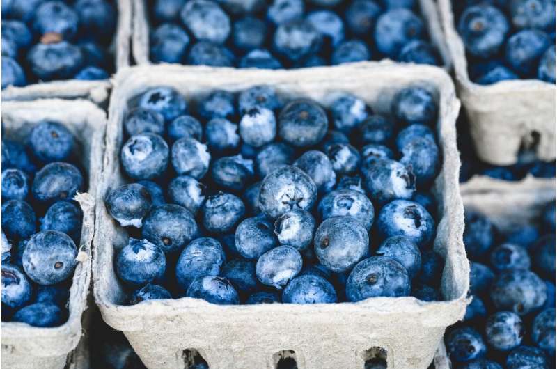 blueberries